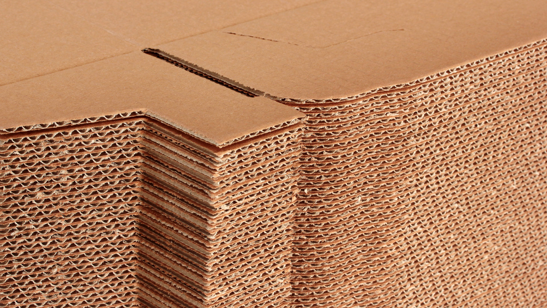  || Kutas Corrugated Cardboard Box Manufacturing | Single Corrugated Cardboard Box, Double Corrugated Cardboard Box, Food Boxes, Locked Boxes, Special Design Boxes, Textile Boxes, Automotive Sub-Industry Parts Boxes, Elevator Doors and Parts Boxes, Cooker - Stove Boxes, Pharmaceutical and Cosmetic Boxes, Cologne Boxes, Shoe - Boot Boxes, Agricultural Machinery Boxes, Agricultural Spraying Boxes, Rifles and Explosives Boxes, Barbecue and Charcoal Boxes, Electronic Materials Boxes, Bolt Boxes, Oil Paint Boxes, Gear and Stud Boxes, Sack Boxes, Base and Furniture Accessory Boxes, Hardware Boxes , Archive Boxes, Auto Cover and Accessory Boxes, Medical Device Boxes, Heat Insulation Boxes, Watch and Promotional Boxes, LPG Tank Boxes, Milling Machinery Boxes, Wheelbarrow Boxes, Dairy Products and Olive Boxes, Okra Boxes, Pizza, Meat Bread and Pastry Boxes , Biscuit, Cake, Nuts and Turkish Delight Boxes, Pulses Boxes, Meat and Meat Products Boxes, Candy, Chocolate, Wafer Boxes, Organic Agricultural Products Boxes Beer, Olive Oil, Molasses, Honey, Jam Boxes, Canned Boxes, Compartmented Ready Meal Boxes, Bakery Boxes, Raw Meatball Boxes, Salt - Spice Boxes